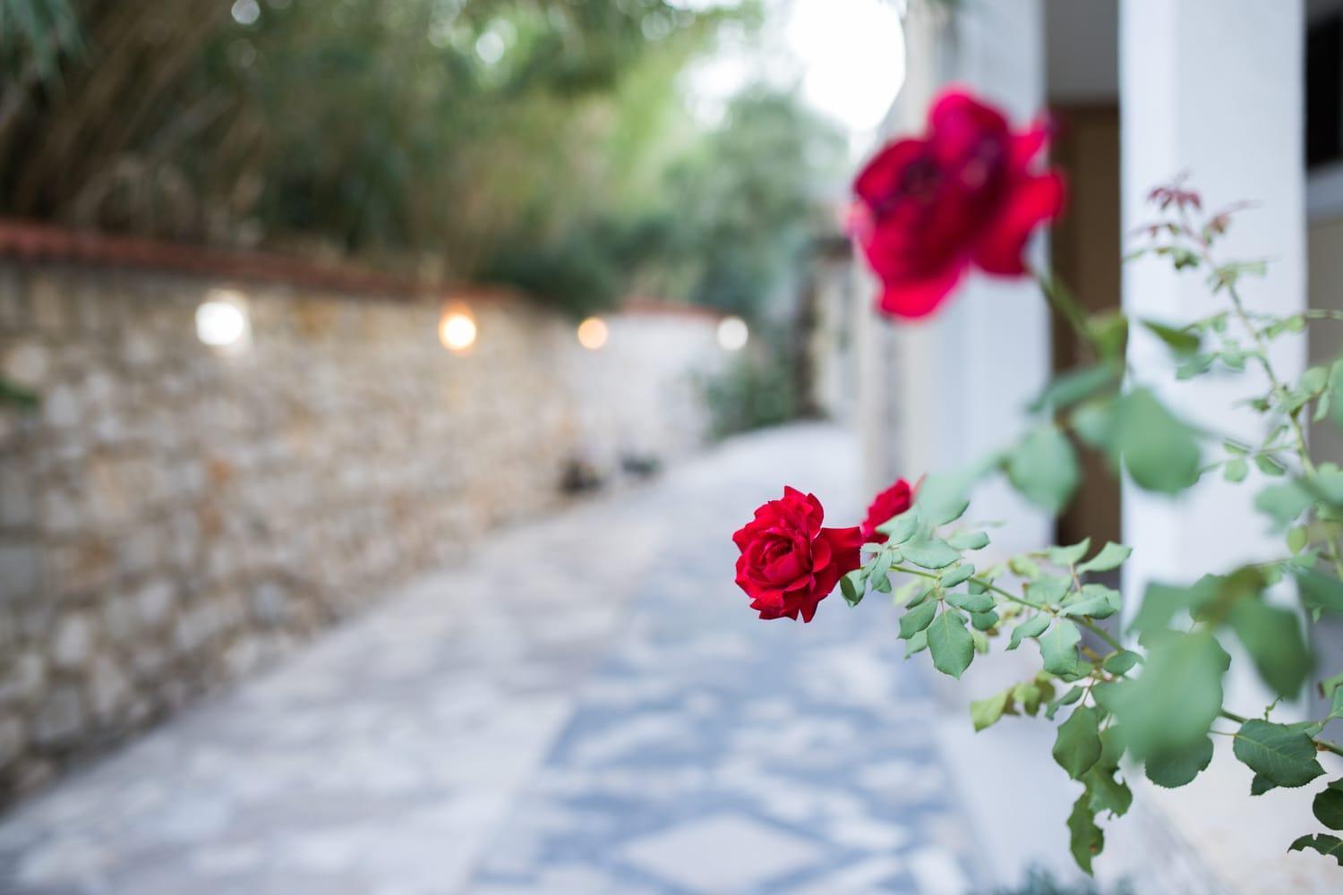 Mb Pag Bed&Breakfast Pag Town Exteriér fotografie
